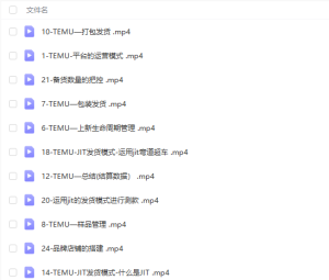 跨境电商(跨境多多、海外版多多TEMU)实操教学,从发布商品到售卖发货全流程操作-品小先-项目发源地