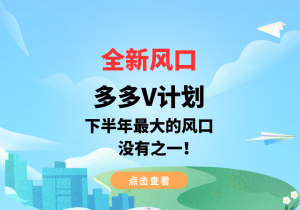 全新风口,多多V计划,下半年最大的风口项目,没有之一【揭秘】-品小先-项目发源地