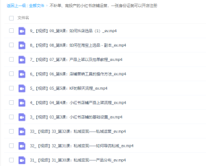 不补单、高投产的小红书店铺运营，一张身份证就可以开店注册-品小先-项目发源地