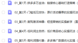 钟辰·拼多多单品爆款班,一个拼多多超级爆款养一个团队-品小先-项目发源地