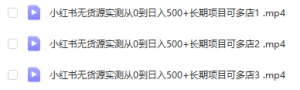 小红书无货源实测从0到日入500+长期项目可多店【揭秘】-品小先-项目发源地