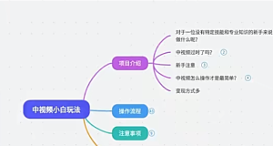 中视频小白简易玩法，操作简单变现方式多，小白轻松日入500+！【揭秘】-品小先-项目发源地