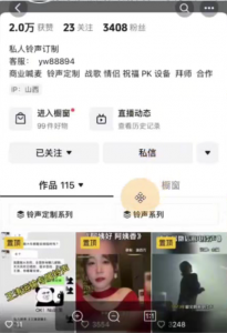 抖音风口项目,铃声定制,做的人极少,简单无脑,每天300+【揭秘】-品小先-项目发源地