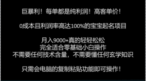 巨暴利，月入9000+的宝宝起名项目，每单都是纯利润，零基础都能躺赚【附软件+视频教程】-品小先-项目发源地