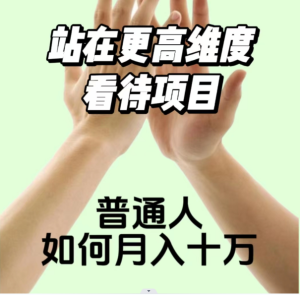 2023最火项目：站在更高维度看待项目，普通人如何月入十万【揭秘】-品小先-项目发源地