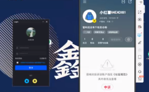 最新冷门项目，小红书账号解封日入200＋【揭秘】-品小先-项目发源地