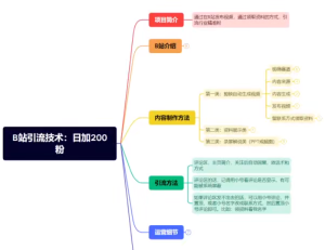 B站引流技术:每天引流200精准粉,简单操作,长期稳定,规避风险-品小先-项目发源地