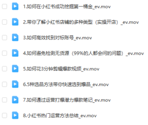 阿本小红书电商陪跑营4.0，带大家从0到1把小红书做起来-品小先-项目发源地