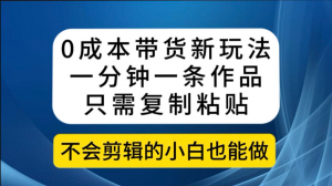 0成本带货新玩法，一分钟一条作品，只需复制粘贴就可以做-品小先-项目发源地