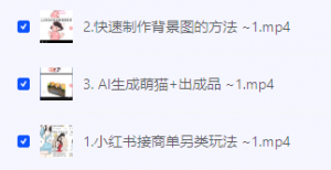治愈系萌猫加+黑鸡汤文案，小红书商单玩法，3~10天涨到1000粉，一单200左右-品小先-项目发源地