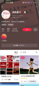 小红书最新玩法2.0，靠发布精品头像日入500+，可多账号放大收益！【揭秘】-品小先-项目发源地