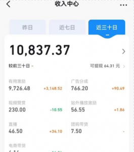 长期蓝海项目,抖音风景类视频,涨粉快,起号快,轻轻松松月入1W【揭秘】-品小先-项目发源地